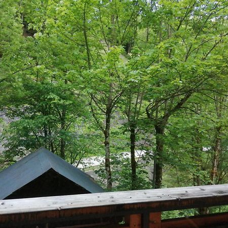 Chalet Au Pont De Flon Le Cornix Eksteriør billede